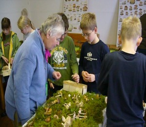 Fundauswertung und Ausbau einer Pilzausstellung mit Brigitte Schurig