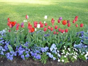 Natürlich mit den zur Jahreszeit passenden Blumen.