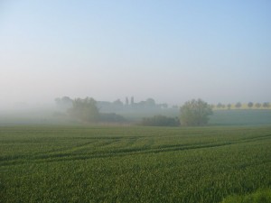 Der Nebel lichtet sich am Morgen des 30. April 2009.