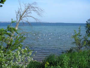 Die Ostsee an der Wohlenberger Wieck am 10. Mai 2009.