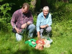 Thomas Harms und Helga Köster freuen sich über die Maipilze.