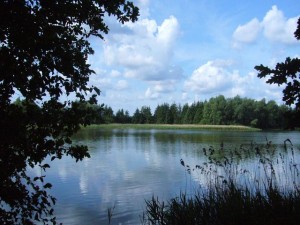 Mahlerisch liegt der Farpener Stausee in einer Landschaft aus Wiesen, Felder und Wälder eingebettet. 06. Juni 2009.