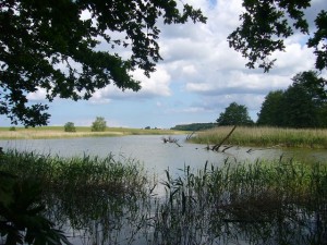 Aus dem Wasser herausragende Baumruinen zeugen noch von trockneren Zeiten. Möglicherweise verlief hier früher ein Landweg.