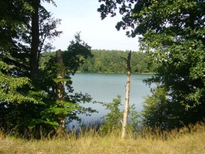 Blick auf den Oberen See bei Sternberg. 08.08.2009.