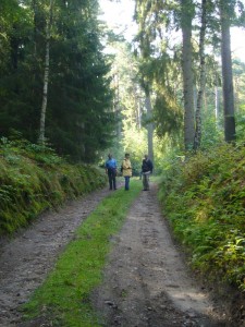 Durch diesen Hohlweg müssen sie kommen.