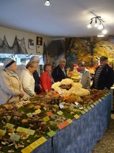 Auch heute war unsere Großpilzausstellung nochmals recht gut besucht. 28.09.2009.