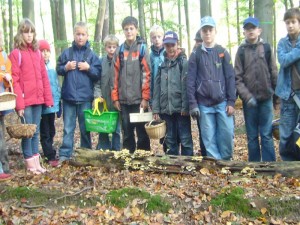 Pilzwanderung mit Schülern der Grundschule Lübow am 30. September 2009. Hier wurde ein Baumstamm mit Grünblättrigen Schefelköpfen entdeckt.