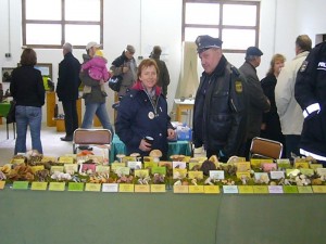 Selbst die Polizei kam an den Pilzen nicht vorbei.