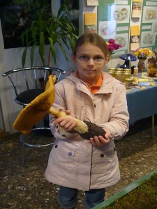 Und den kann man sogar essen! Ein Goldfarbener Glimmerschüppling (Phaeolepiota aurea). Genia spendierte ihn aber lieber für die Ausstellung.