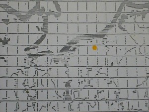 Agaricus langei (Möll. & J.Schff.) Möll.