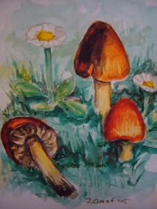 Kegeliger Saftling (Hygrocybe conica)