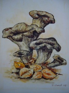 Herbsttrompete (Craterellus cornucopioides)