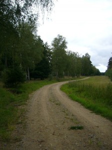 Weitläufig sind hier die Wälder des ehemaligen Truppenübungsplatzes.