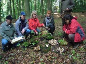 Fast Andächtig hockten sich diese Pilzfreunde zu diesem schönen Riesenporling hin. Ganz jung kann man den essen, er wird aber recht schell schwarz und sieht dann wenig appetitlich aus. 19.09.2010 im Forst Ritzerau.