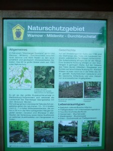 Und dann ging es ab in`s Naturschutzgebiet "Warnow - Mildenitz - Durchbruchstal". 