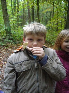 Kaum im Wald, war die Freude groß über die ersten Fundstücke. Die Nase ist mitunter unendbehrlich bei der Bestimmung. Der essbare Rote Heringstäubling riecht deutlich nach Fisch