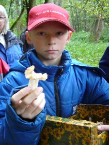 Die Pilze sehen ja immer lustiger aus! Völlig kraus und ein grubig,löcheriger stiel, so sieht die essbare Herbst - Lorchel aus.