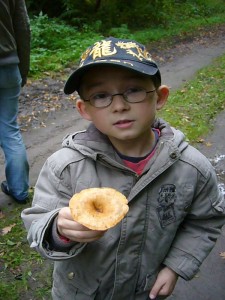 Darf ich den essen? Aber natürlich, zwar nicht besonders wertvoll, aber essbar! Es ist der Fuchsige Rötel - Trichterling. Leider waren die meisten von ihnen schon alt oder vertrocknet.