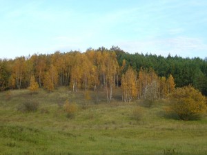 Spätherbstliche Landschaft bei Neukloster am 30.Oktober 2010.