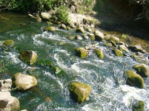 Wildwasser am Hellbach. Es handelt sich um die Reste einer alten Feldsteinbrücke.