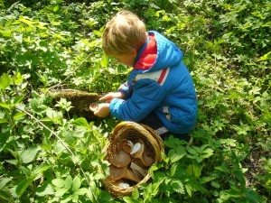 Sohn Jonas bei der Ernte. 25.04.2011.