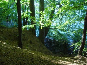 Pilzesammeln ist hier eine abenteuerliche Angelegenheit, bei der Bergsteigerische Fäkugkeiten gefragt sind.