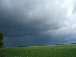 Schwere Donnerschläge in der Ferne und eine bedrohliche Wolkenwand ziehen am Mittag in Brüel auf. Es war der erste starke Gewitterschauer. Weitere, ähnlich starke sollten bis zum Abend noch folgen. Auf so ein tolles Wetter haben wir lange gewartet!. 15.05.2011.