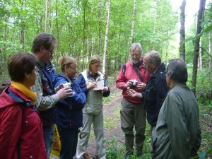 Interessiert lauschen die Teilnehmer der Wanderung den Ausführungen von Klaus Warning zum allgegenwärtigen Waldfreund Rübling.