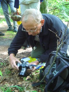 Nicht nur die Leute vor gesundheitlichen Schäden durch Pilzgenuss zu schützen ist das anliegen von Klaus Warning, sondern auch die Pilzfotografie. Hier geben Rillstielige Lorcheln ein gutes Fotomotiv ab.