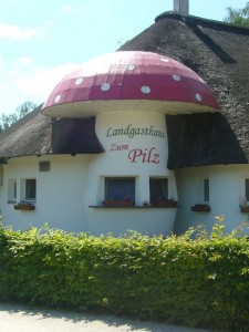 Trotz der Trockeheit überaschte uns auf unserer Fahrt nach Peine die überdimensionale Fliegenpilz der zu gastlicher Berirtung einludt. Er gehört zum Landgasthaus "Zum Pilz", Lüneburger Straße 9.