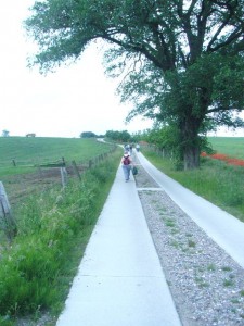 Die letzten 500 Meter bis nach Wiechmannsdorf ging es an einer Viehweide vorbei.