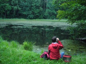 Wo erstmal eine kleine Pause eingelegt wurde. 17.07.2011.