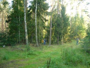 Das Gebiet bei Weberin ist ein moosreicher, sandiger und saurer Nadelmischwald mit einigen Laubbäumen, besonders Birken. Für Speisepilzsucher ideal.