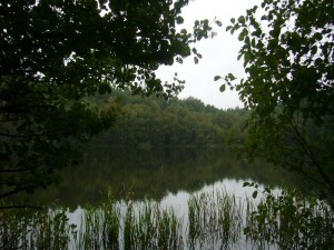 Idyllisch liegen die Seen hier umschlossen von dichten Wäldern. 10.09.2011. 