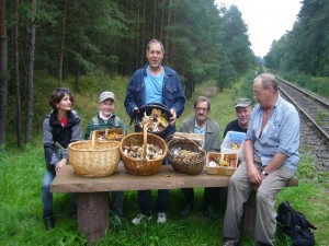 Zum Schluß sah es recht bunt in den Körben aus. Es hääte für die Jahreszeit natürlich noch deutlich besser sein können, aber an die 60 Ausstellungearten sind mindestens zusammen gekommen. 10. September 2011 im Dobbertiner Seenland.