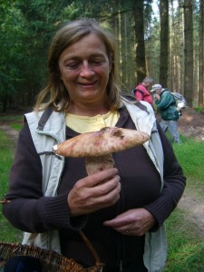 Dieser kapitale Perlpilz füllt schon alleine ein ganze Pfanne aus!