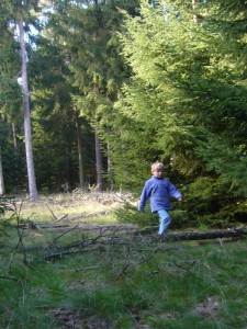 Los ging es im Maronenwald über Stock und Stein. Papa mußte natürlich den Korb tragen.