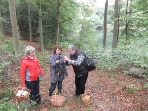 Immer wieder werden fotogene Pilze gefunden. Die Digitalkamera ist unverzichtbar geworden!