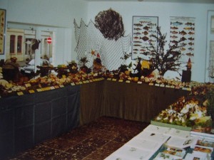 1. Ausstellung in den Räumlichkeiten des heutigen Mykologischen Informationszentrums Steinpilz-Wismar, in der ABC Strasse 21, im Jahre 2004.