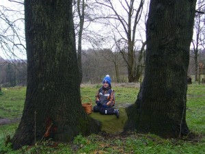 Und Jonas interessiert sich schon seit einigen, wenigen Jahren mehr für Steine als für Pilze. Dieses werden doch keine Steineichen sein? Nein, aber sie haben einen großen Feldstein in ihre Mitte genommen.