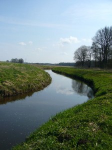 Die Warnow in der Nähe von Bühlow, am Rande der Barniner Tannen. Hier wollen wir heute entlang wandern und hoffen dabei auch einige, interessante Frühlingspilze zu finden. Foto am 15. April 2012.