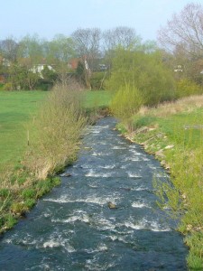 Gleich zu Beginn des Wanderwegs am Hellbach wurde diese Fischtreppe ganz neu angelegt und ein Rastplatz