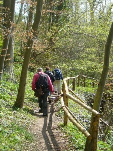 Auch die Geländer an zum steil abfallenden Bachtal wurden teils ausgebessert oder neu errichtet, so dass hier ein möglichst gefahrloses Wandern möglich ist..