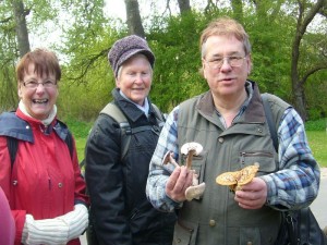 Sobald wurden die ersten Frischpilze entdeckt und die Freude war groß bei essbaren Schuppigen Porlingen und Champignons.