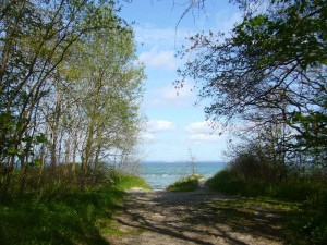 Hinter dem Küstenschutzwald lädt ein wunderschöner Sandstrand im Sommer zum Baden in der Ostsee ein.