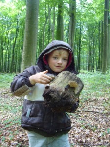 Und dann hat er etwas tolles für Papas Ausstellung entdeckt. Ein schon ganz wackliger Eichenstumpf mit Pilzen dran.