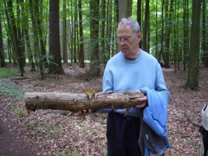 Pilzfreund Friedrich Wojekowsk aus Berlin möchte gerne Wissen, welche Pilzart wohl diesen Holzknüppel besiedelt hat? Es ist ein jung essbarer Sklerotien - Porling!