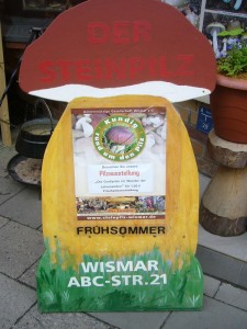 Für fast nur einen symbolischen Euro konnte sich unsere Ausstellung "Die Großpilze im Wandel der Jahreszeiten - Frühsommer" angeschaut werden.