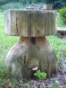 Diesen kapitalen Dickhölzling habe ich gestern in der Trechower Holzung bei Bützow fotografiert. Er war Bestandteil einer märchenhaften Sitz- und Raststätte Mitten in diesem interessanten Wald. Sicher werden wir irgendwann auch mit unserer Wandertruppe hier Halt zur Rast machen. Übrigens macht sich bereits der Rotrandige Baumschwamm, wie unschwer zu erkennen ist, an ihm zu schaffen. 