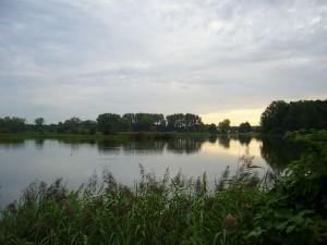 Still liegt der Karpfenteich an diesem windstillen und warmen Sommerabend. Im späteren Herbst wird das Wasser abgelassen und die Karpfen für Weihnachten und Silvester abgefischt.